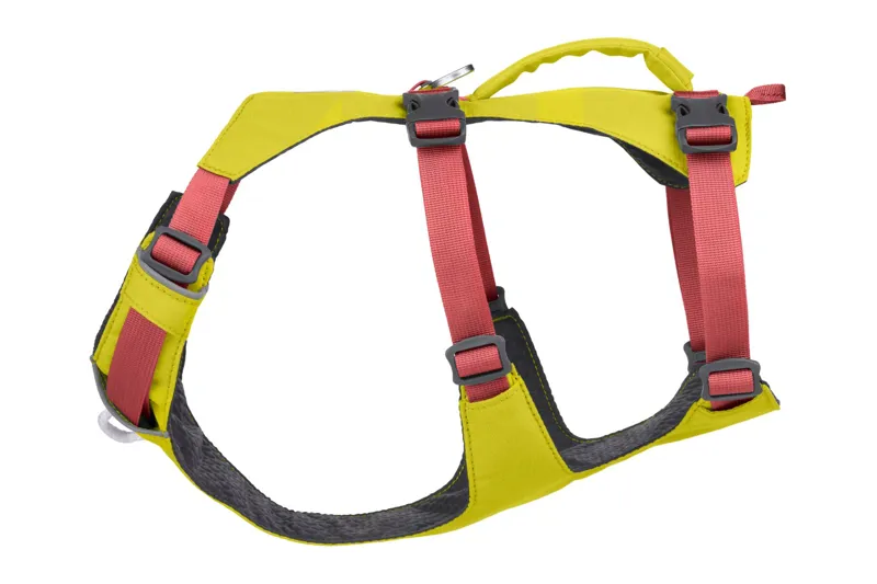 Ruffwear Flagline Dog Harness Lichen Green-1